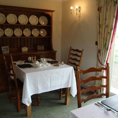 The Paddock Bed & Breakfast Haverfordwest Dış mekan fotoğraf