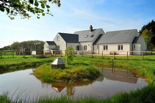 The Paddock Bed & Breakfast Haverfordwest Dış mekan fotoğraf